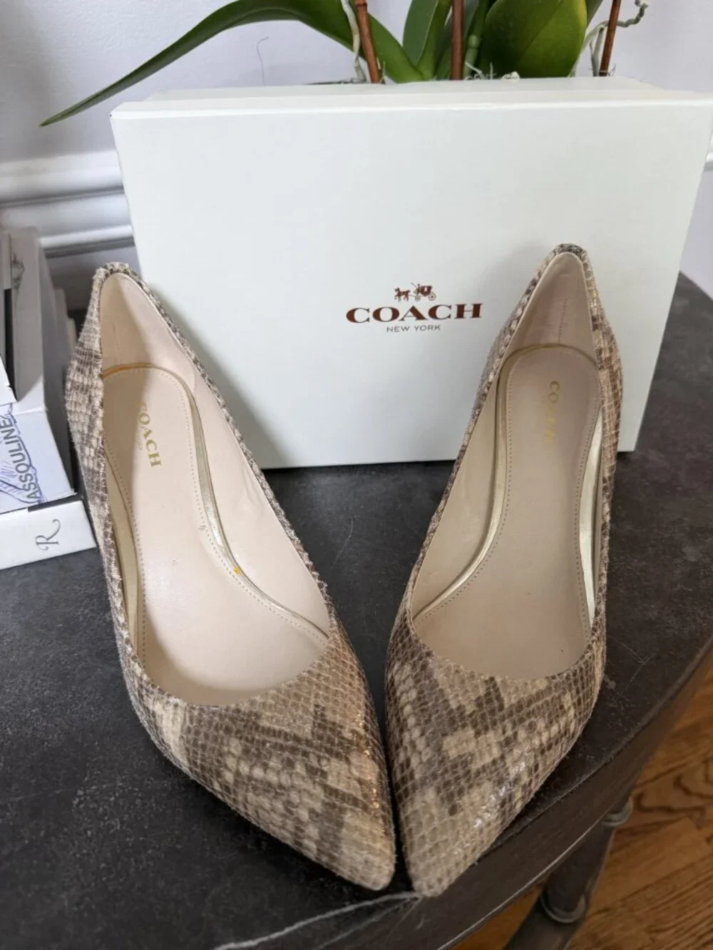 NIB Coach Zeal Sand Printed Snake Natural/Sand Leather Pumps Size 7.5